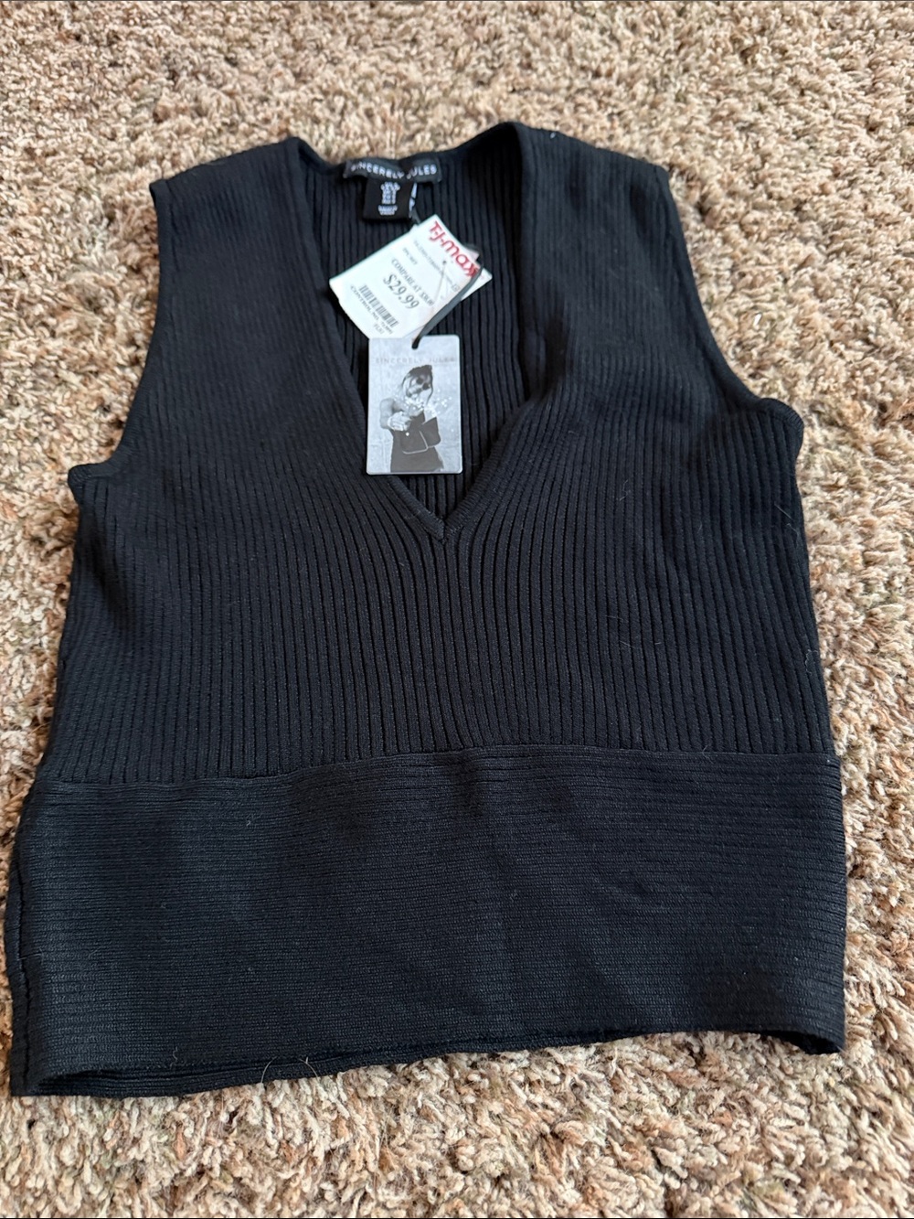 Sincerely Jules Black Ribbed V-Neck Tank
